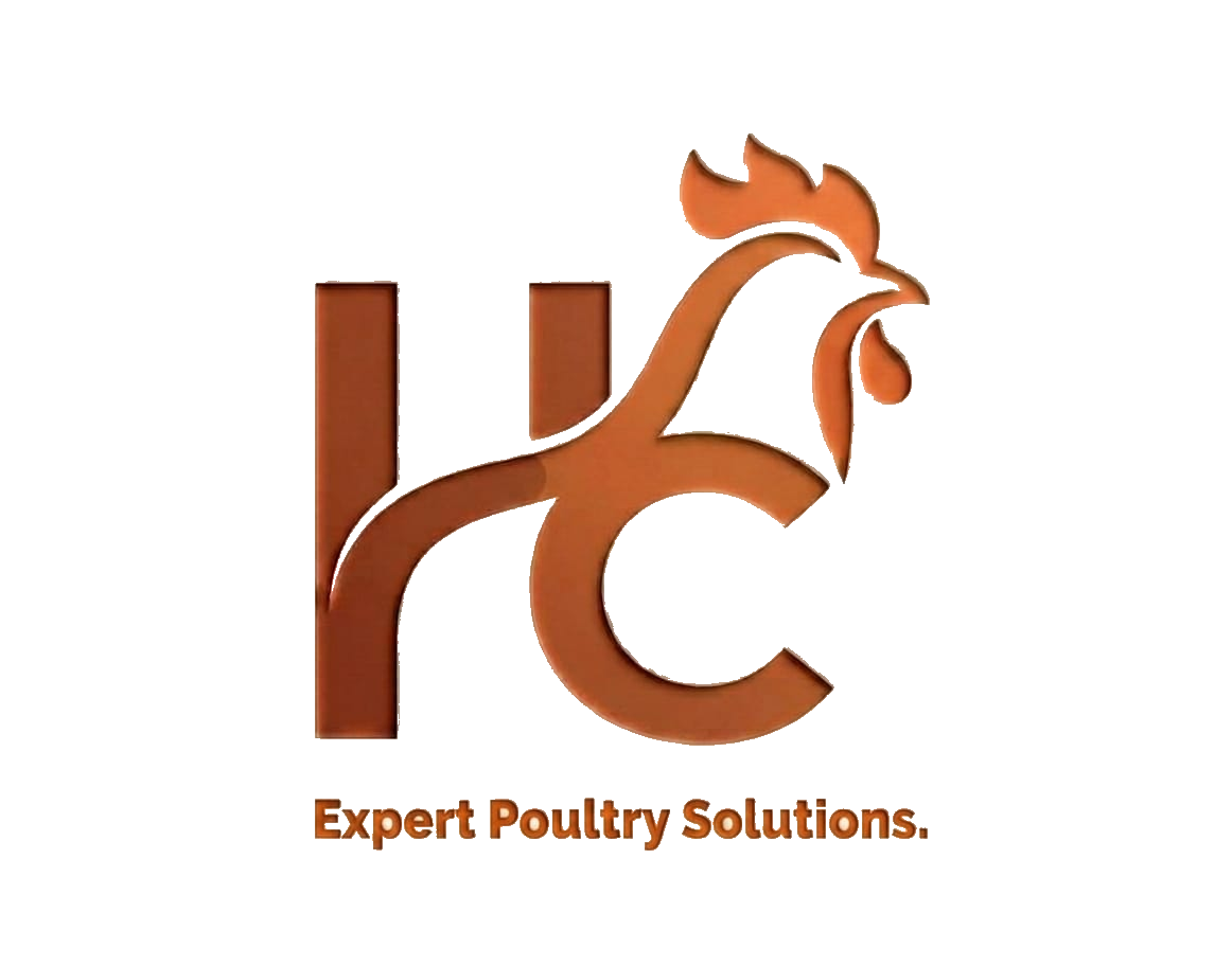 Hermus Logo